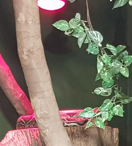 20190608_104724