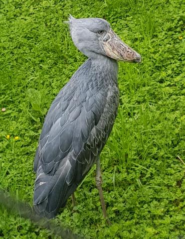 20190608_105025
