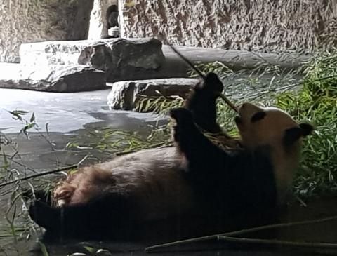 20190608_105356