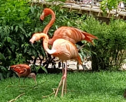 20190608_105527