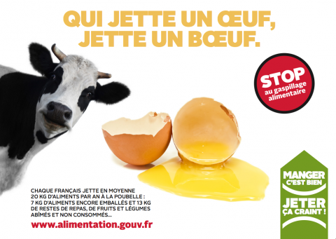 gaspillage-alimentaire-vache
